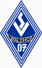 SV Waldhof Mannheim Ποδόσφαιρο