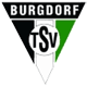 TSV Burgdorf Χάντμπολ