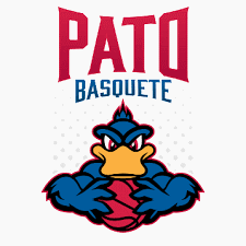 Pato Basquete Basketbol