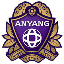 FC Anyang Ποδόσφαιρο