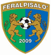 FeralpiSalo Футбол