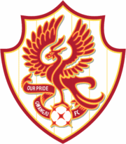 Gwangju FC Football