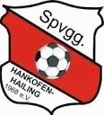 SpVgg Hankofen-Hailing Futebol