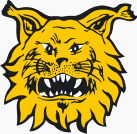 Ilves Tampere Ποδόσφαιρο
