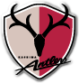 Kashima Antlers Futebol