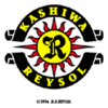 Kashiwa Reysol Nogomet