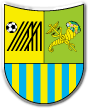 Metalist Kharkiv Nogomet