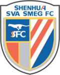 Shanghai Shenhua Futbol