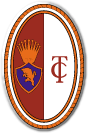 FC Torino Fotball