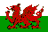 Wales Fotbal