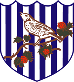 West Bromwich Albion Ποδόσφαιρο