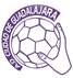 BM Guadalajara Hentbol