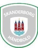 Skanderborg Χάντμπολ