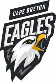 CB Screaming Eagles Hokej