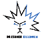 Logo týmu