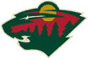 Minnesota Wild Buz hokeyi