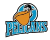 Pelicans Lahti Χόκεϊ
