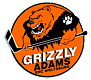 Grizzly Wolfsburg Ishockey